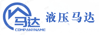 山東液壓馬達(dá)生產(chǎn)廠(chǎng)家